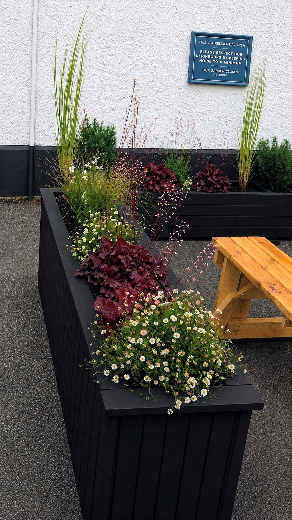 Planters of grasses and heucheras on the hard standing at The White Horse